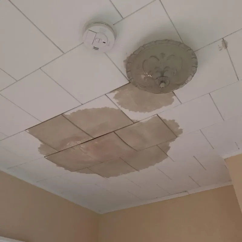 Ceiling Water Damage Repair in Tallahatchie County, MS