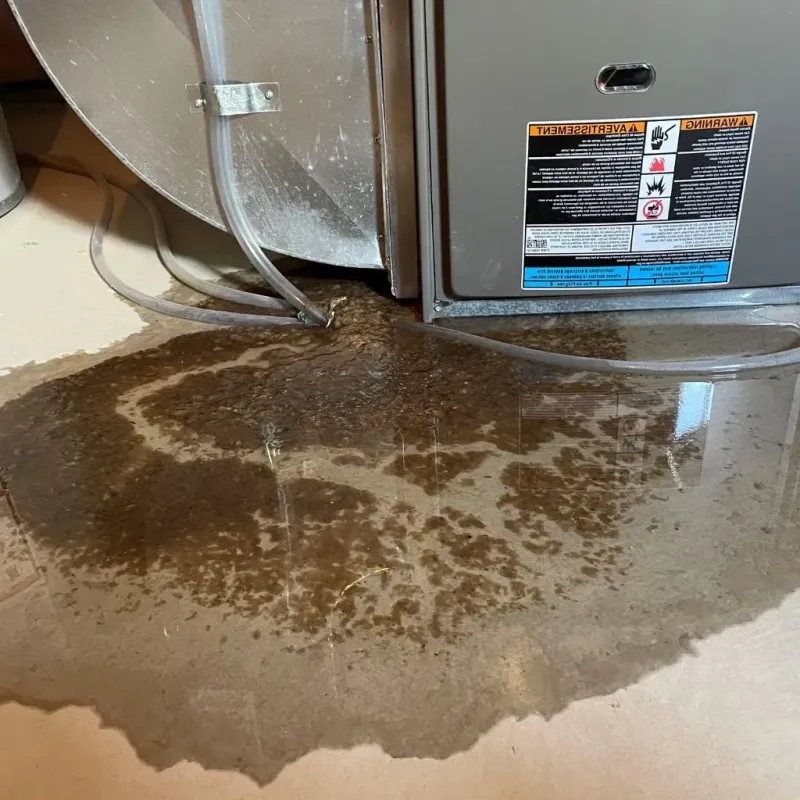 Pipe Burst and Leak Restoration in Tallahatchie County, MS