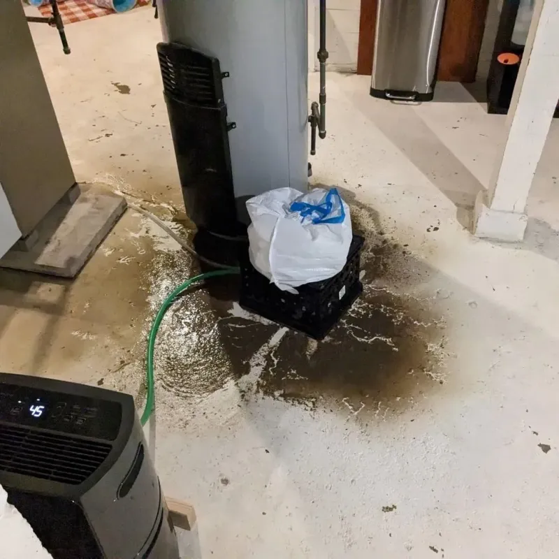 Sewage Backup Cleanup Service in Tallahatchie County, MS